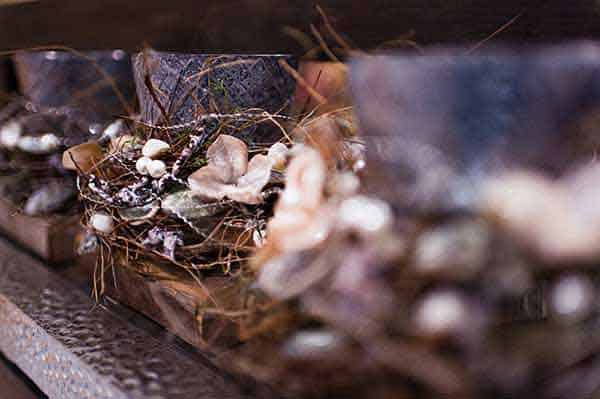 Das-Lokal_Chartreuse-Fleurs_02