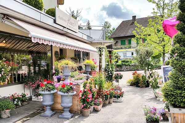 Das-Lokal_Chartreuse-Fleurs_09